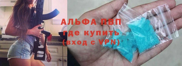 PSILOCYBIN Беломорск