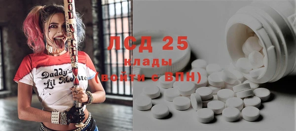 PSILOCYBIN Беломорск