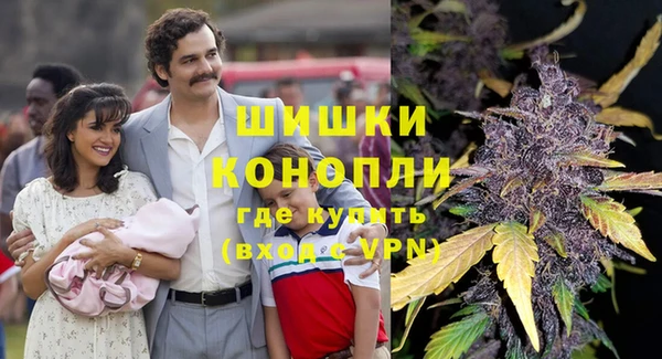 PSILOCYBIN Беломорск