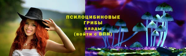 прущая мука Белокуриха