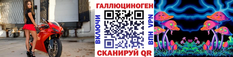 как найти закладки  Славгород  Галлюциногенные грибы Psilocybe 