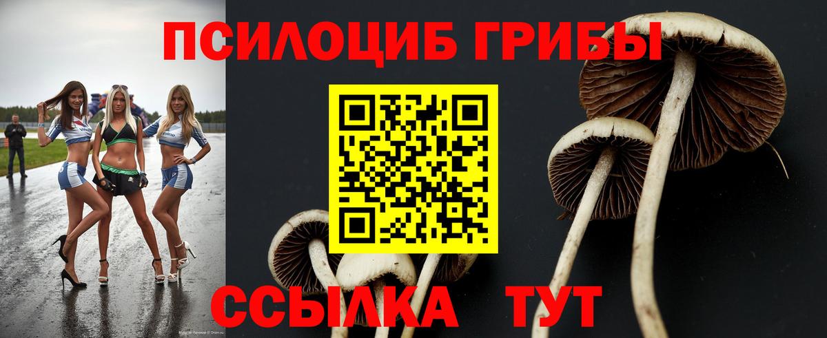 Славгород  Галлюциногенные грибы мухоморы  Вход с VPN 
